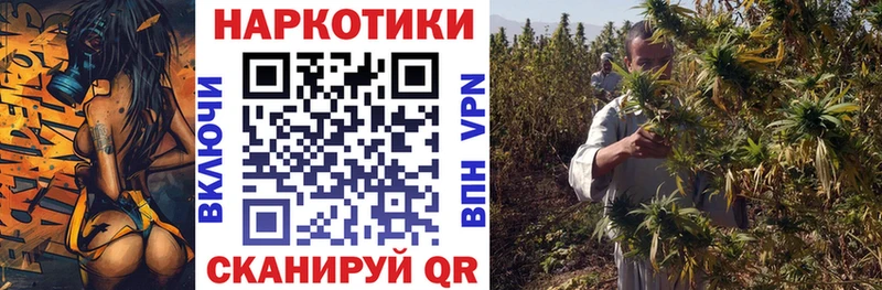 Где найти наркотики Лесной Кокаин Меф мяу мяу A PVP Марихуана