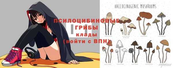ГАЛЛЮЦИНОГЕННЫЕ ГРИБЫ Баксан