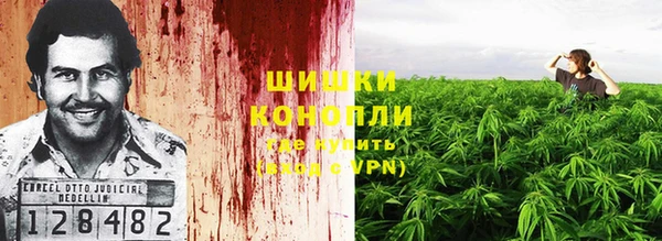 ГАЛЛЮЦИНОГЕННЫЕ ГРИБЫ Баксан