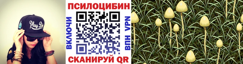 Псилоцибиновые грибы прущие грибы  Лесной 
